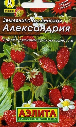 Земляника Александрия Аэ Ц