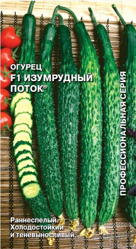 Огурец Изумрудный поток (СД)