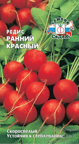 Редис Ранний красный (СД) 