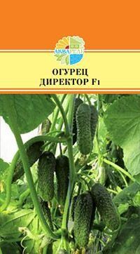 Огурец Директор F1 8шт (АКВ) (RS) 