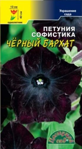 Петуния Софистика Черный Бархат 5шт (ЦВ)