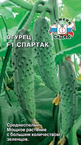 Огурец Спартак F1 (СД)