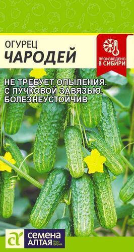 Огурец Чародей 6шт Ц (АЛТ) 