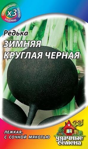 Редька Черная зимняя круглая 1гр ХИТх3 (ГАВ)