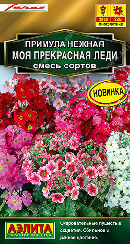 Примула Моя прекрасная леди, смесь сортов Аэ Ц