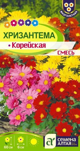 Хризантема корейская смесь (АЛТ)