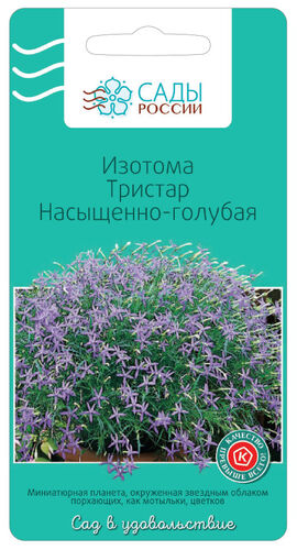 Изотома Тристар насыщенно-голубая 5шт. (Сады России)