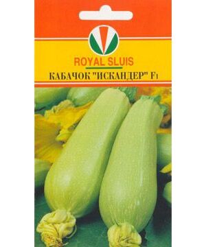 Кабачок Искандер 5шт (АКВ) (RS)