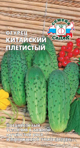 Огурец Китайский плетистый (СД)